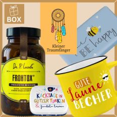 Geschenkbox KLEINER TRAUMFÄNGER # 1