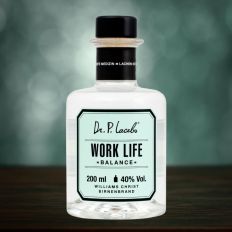 Williams-Christ-Birnenbrand Work Life Balance