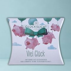 Glückslicht GLÜCKSSCHWEINE - VIEL GLÜCK! 