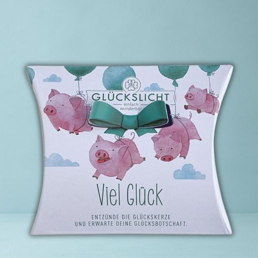Glückslicht GLÜCKSSCHWEINE - VIEL GLÜCK! 